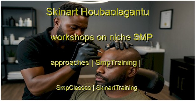 Skinart Houbaolagantu workshops on niche SMP approaches | SmpTraining | SmpClasses | SkinartTraining-China